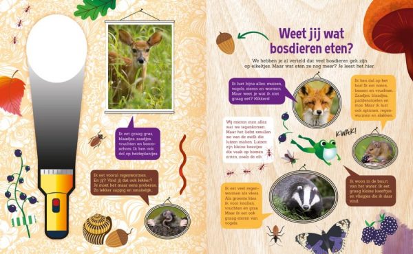 Lantaarn Speuren in het Bos