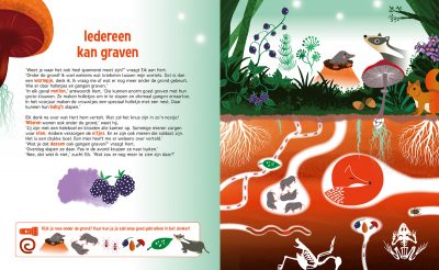 Lantaarn Speuren in het Bos
