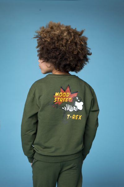 Moodstreet - Sweater Back Print T-Rex 134-140
