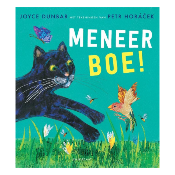Meneer Boe!