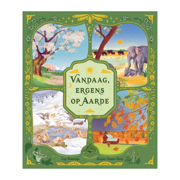 Vandaag, ergens op aarde