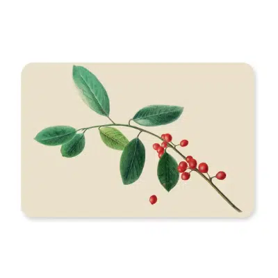 Silly Goose - kaart hulst