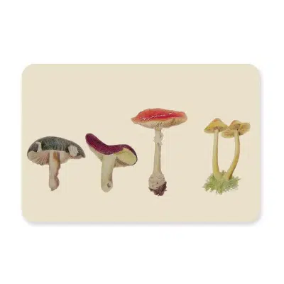 Silly Goose - kaart paddestoelen