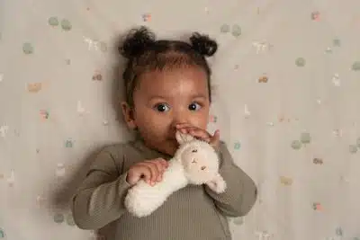 Little Dutch - Rammelaar schaap Little Farm