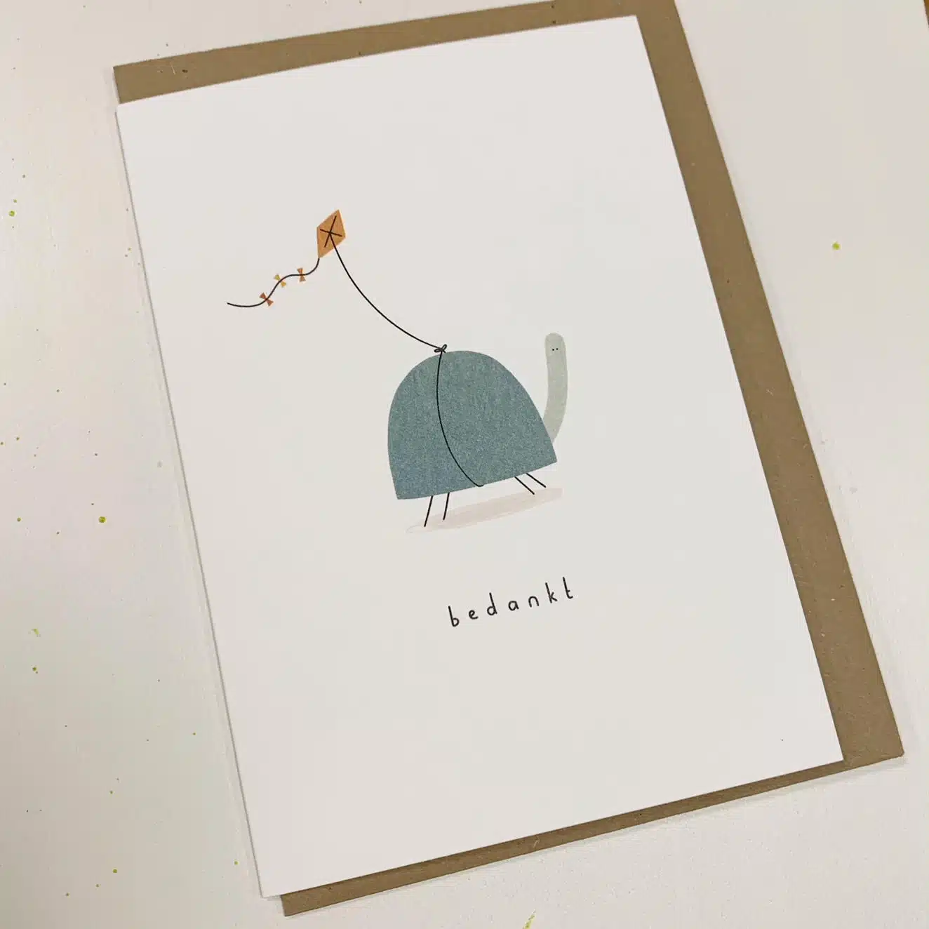 Alijt Klein Liefs - Bedankt Schildpad