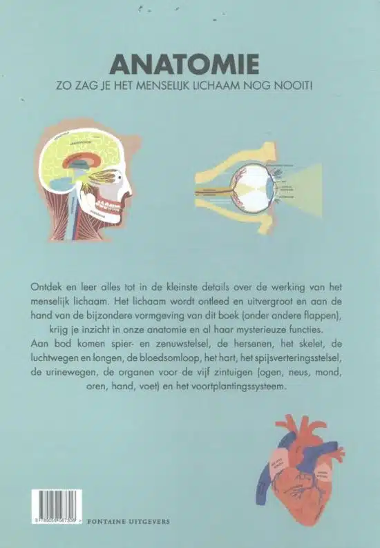 Anatomie - zo zag je het menselijk lichaam nog nooit!