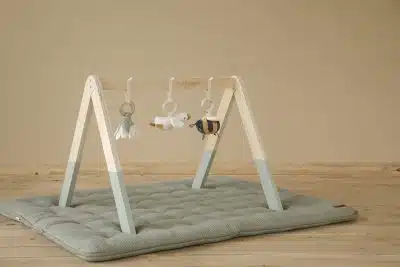 Little Dutch - Babygym Little Goose