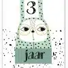 Pepermint kaart - Lama 3 jaar