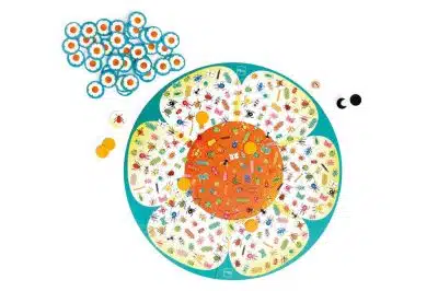 Scratch - Bugs Buzz Zoekspel