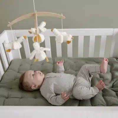 Little Dutch - Muziek mobiel - Little Goose