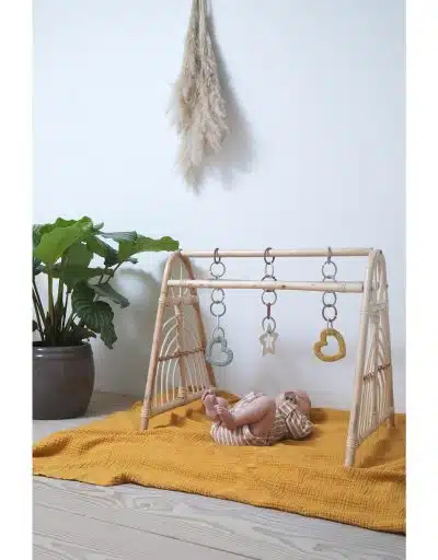 BIBS - Loops 12 pack - Vanilla/Sage/Olive