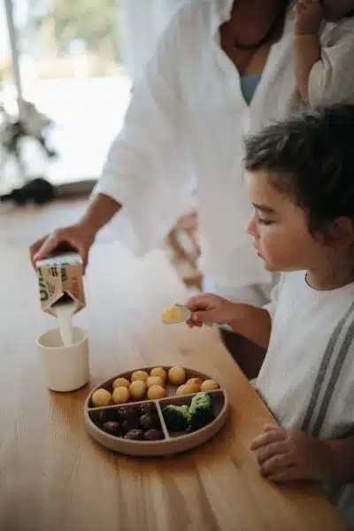 Mushie - Siliconen Bord met Zuignap - Blush