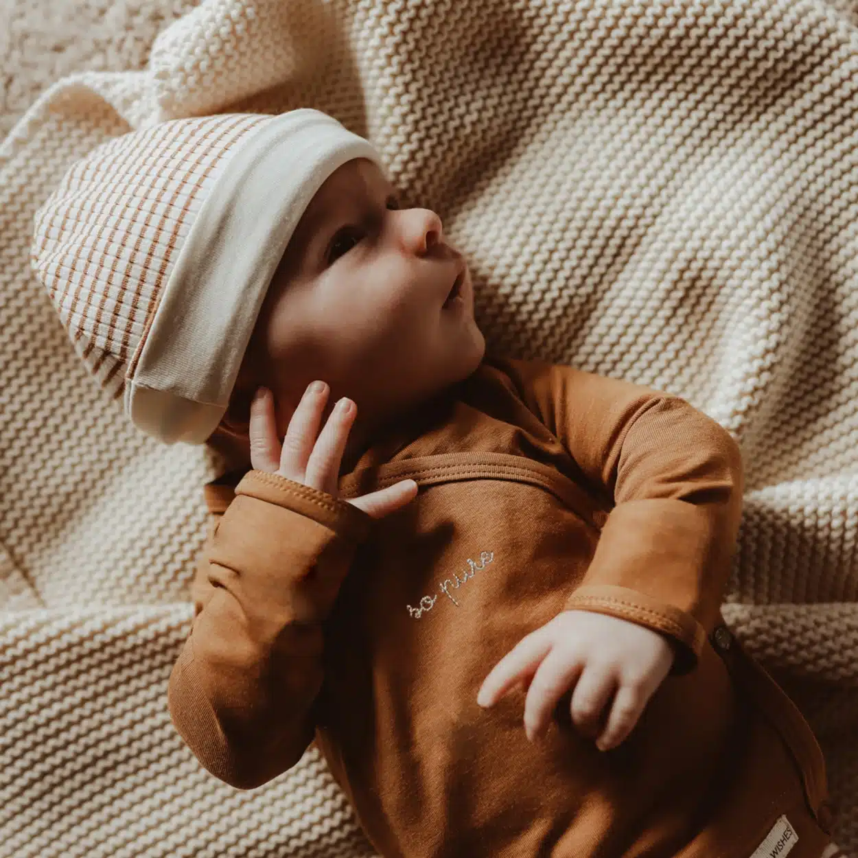 Your Wishes - Dash - Aspen 50-56