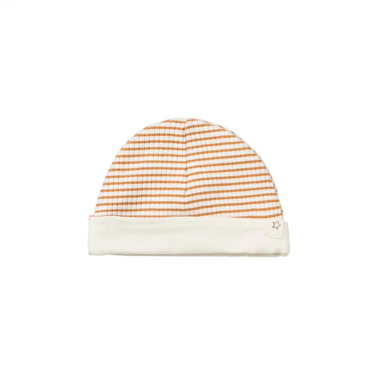 Your Wishes - Dash - Aspen 50-56