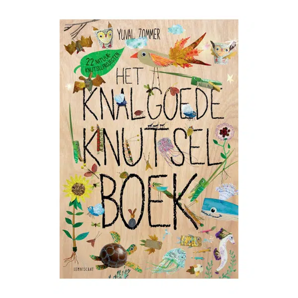 Het Knalgoede Knutselboek