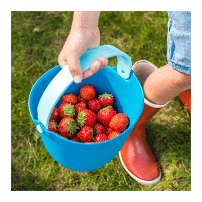 Quut - Bucki - Ocean