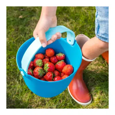 Quut - Bucki - Ocean