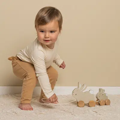 Little Dutch - Trekdieren konijn