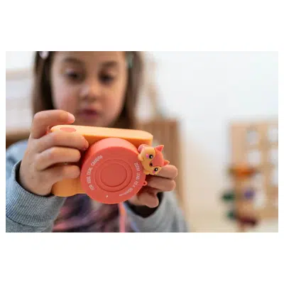 The Zoofamily - Urban Zoo - The Fox