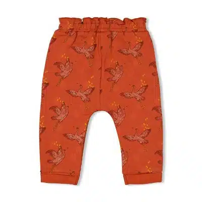 Feetje - Broek Print - Winter Nomad