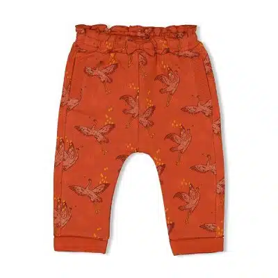 Feetje - Broek Print - Winter Nomad