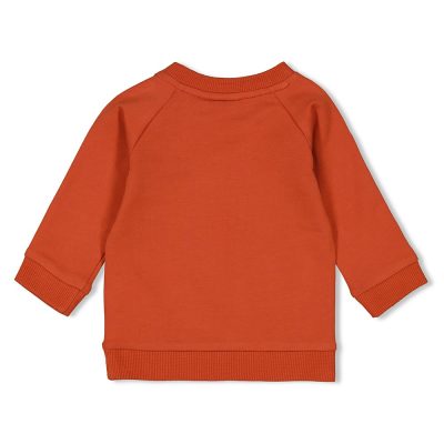 Feetje - Sweater - Go Fetch