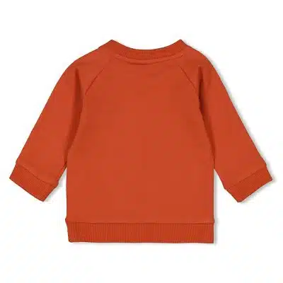 Feetje - Sweater - Go Fetch