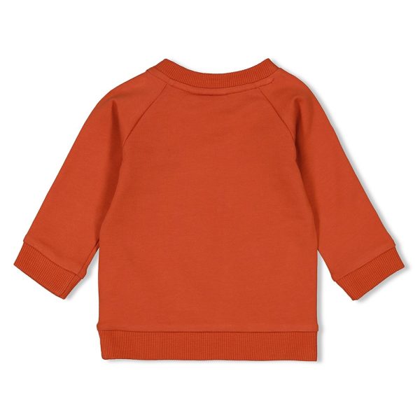 Feetje - Sweater - Go Fetch