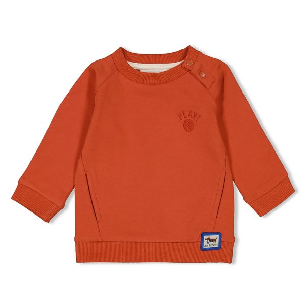 Feetje - Sweater - Go Fetch