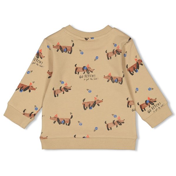 Feetje - Sweater Print - Go Fetch