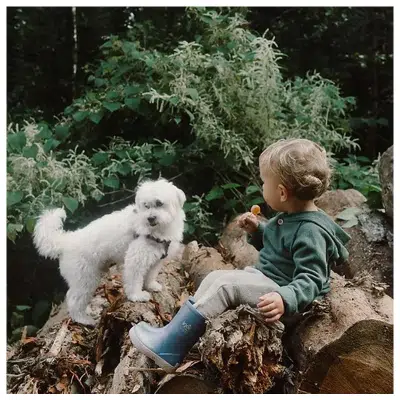 Igor - Splash DK - Petroleo-Beige