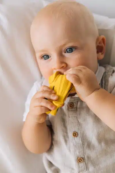 Oli&Carol - Bad/bijtspeeltje - Ana Banana pop-art