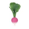 Oli&Carol - Bad/bijtspeeltje - Ramona the Radish