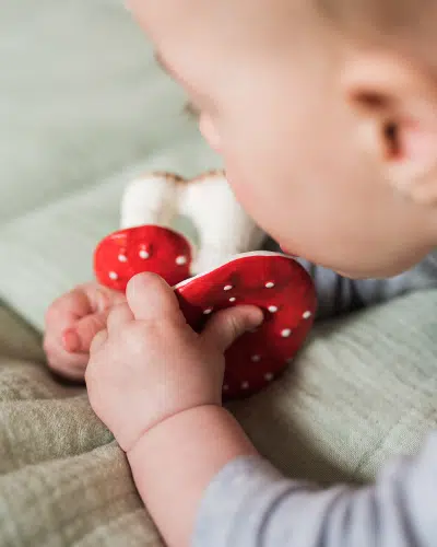 Oli&Carol - Bad/bijtspeeltje - Spot the Mushroom
