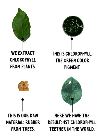 Oli&Carol - Bijtspeeltje - Chlorophyll Leaf