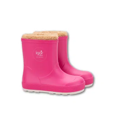 Igor - Yogi Nautico Borreguito - Fuchsia