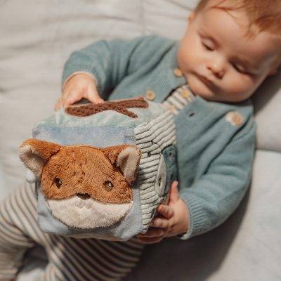 Little Dutch - Forest Friends - Zachte activiteitenkubus