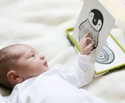 Wee Gallary - Art Cards - Baby Animal