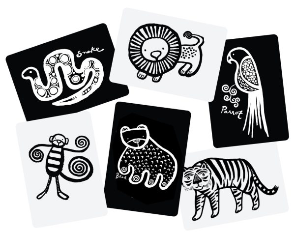 Wee Gallary - Art Cards - Jungle