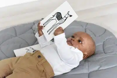 Wee Gallary - Art Cards - Ocean Collection