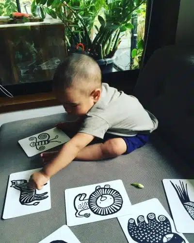 Wee Gallary - Art Cards - Pets Collection