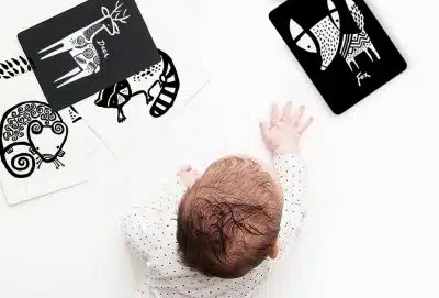 Wee Gallary - Art Cards - Rainforest Collection