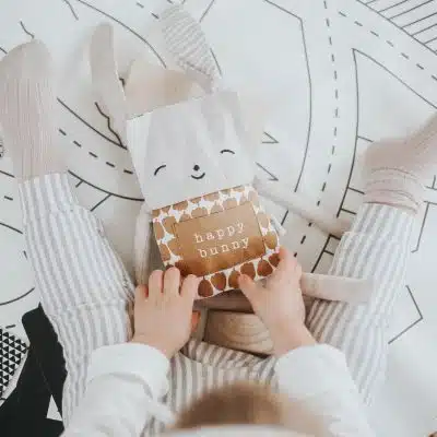 Wee Gallary - Flippy Friend - Panda