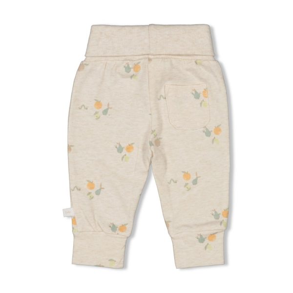 Feetje - Broek AOP - Picnic Party