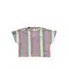 Your Wishes - Multi Stripes - Cropped Tee