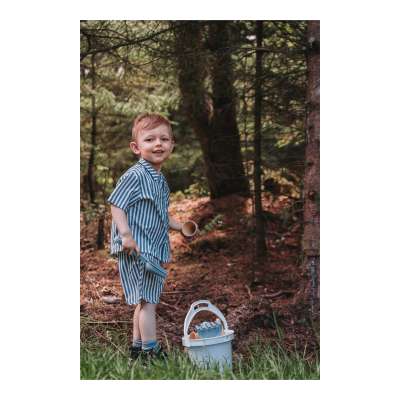 Dantoys - Thorbjorn - emmerset + ijshoorns (blauw)