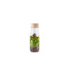 Petit Boum - Sensorische fles - Jungle