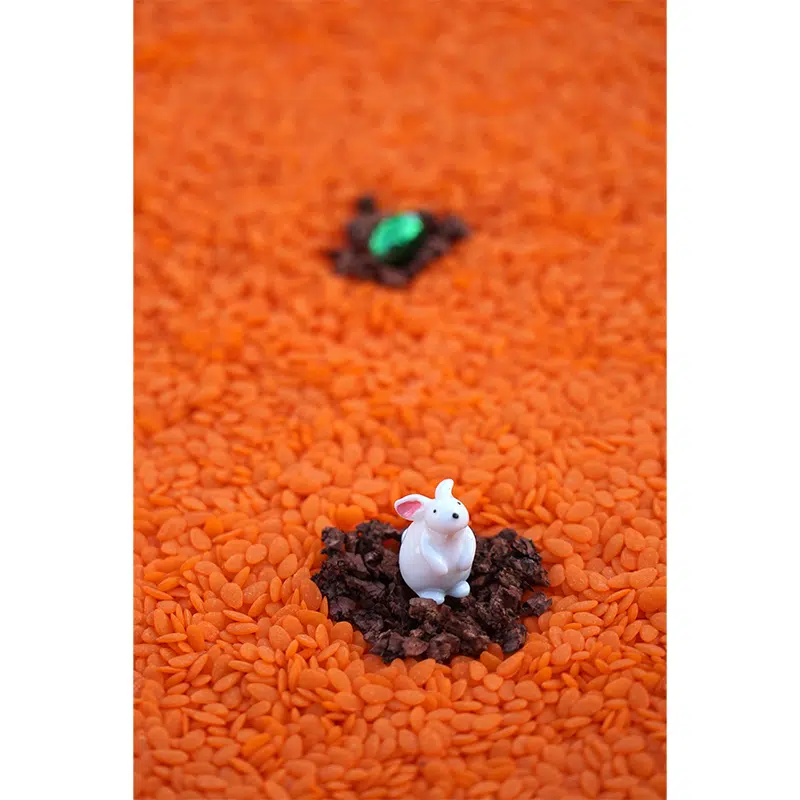 Petit Boum - Sensorische fles - Konijn