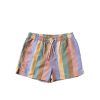 Salted Stories - Multi Stripe - Swim Shorts Men