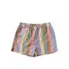 Salted Stories - Multi Stripe - Swim Shorts Men
